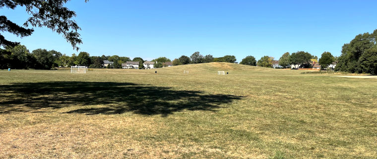 iNaturalist Project Arrowhead Park, Naperville