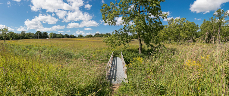 iNaturalist Project Schulenberg Prairie, IL