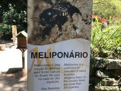 (Botanical Garden Meliponario) Rio de Janeiro