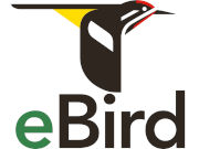 (ebird) logo